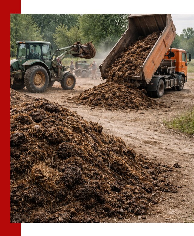 Доставка навоза самосвалами в Белорецке для сельхозпотребностей